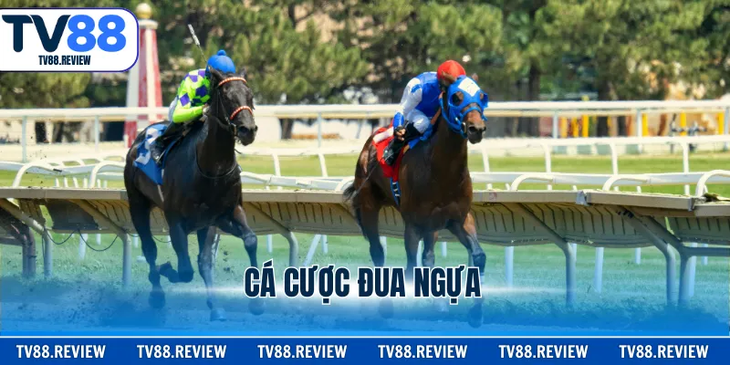 Cá Cược Đua Ngựa - Hình Thức Giải Trí Đầy Gay Cấn 2026